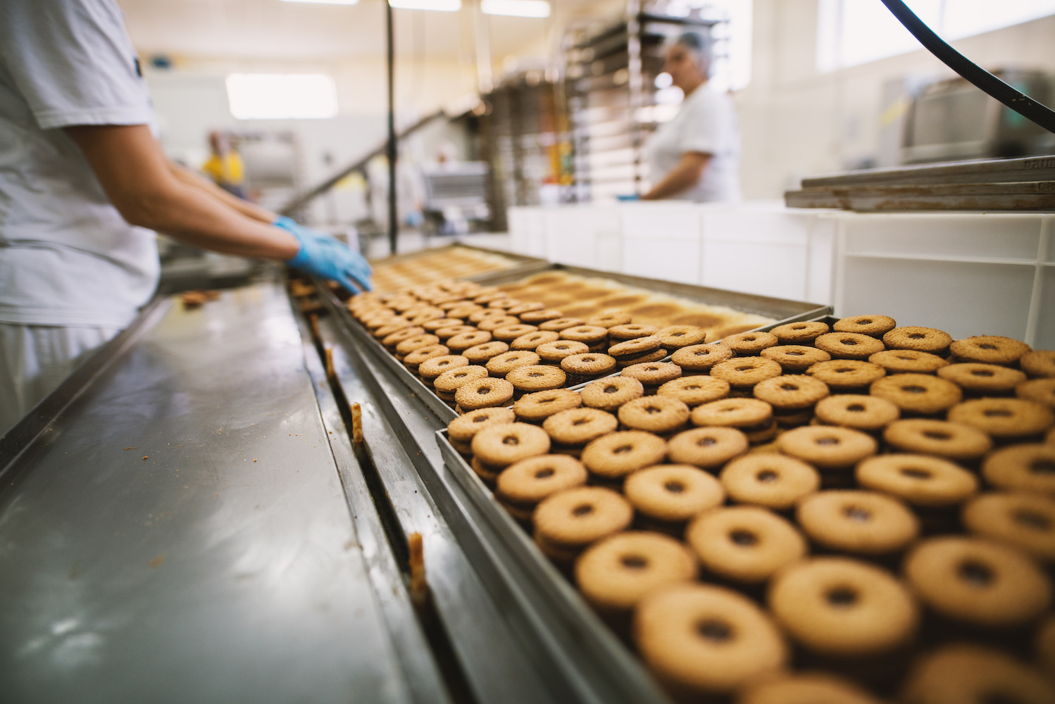 Chaine de production de cookies dans une usine